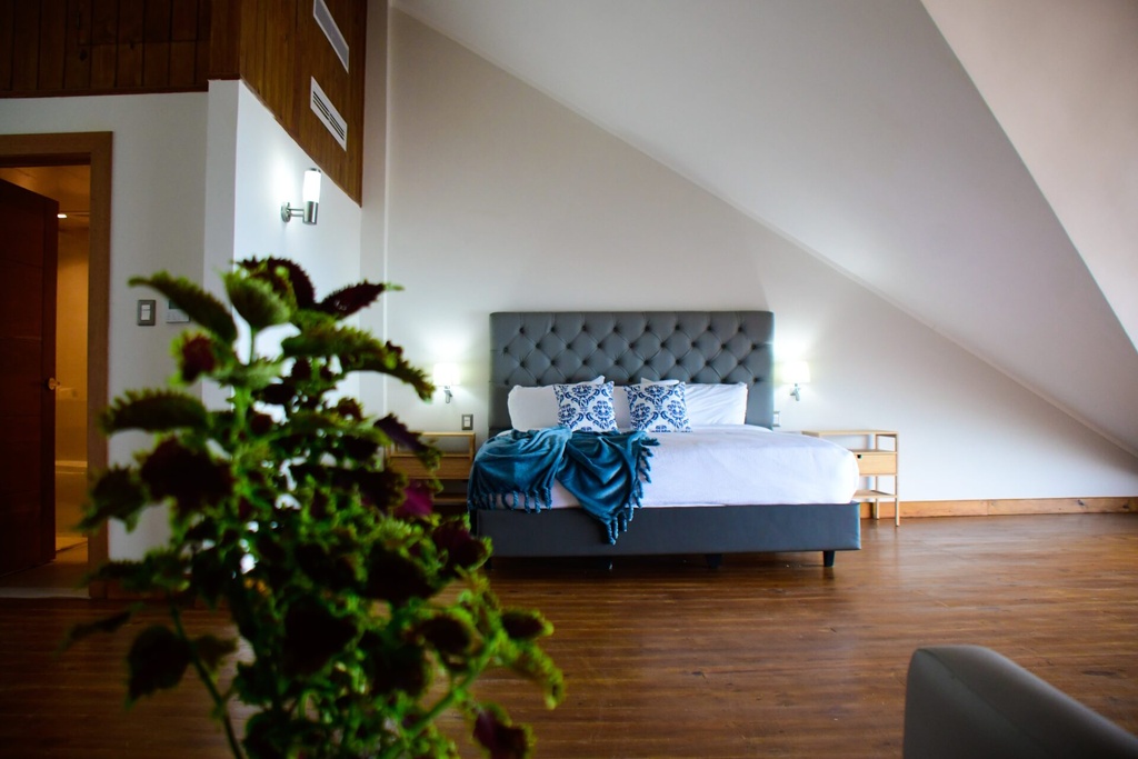 Penthouse - Vista 7